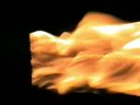 Burner Clip 7-20-08 104