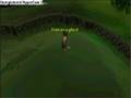 Barrow guide with verac(no pray pots)