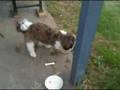 McKenzie_09_11_08_ded