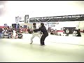Kung Fu San Soo
