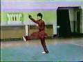Xing Yi Quan