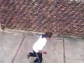 Parkour Bogota   familiaire