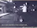 Hilarious DWI Stop