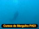 Mergulho Esposende