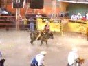 tarimoro en tarimoro 2008 pt 3 tarimoro en tarimoro 2008 pt 3