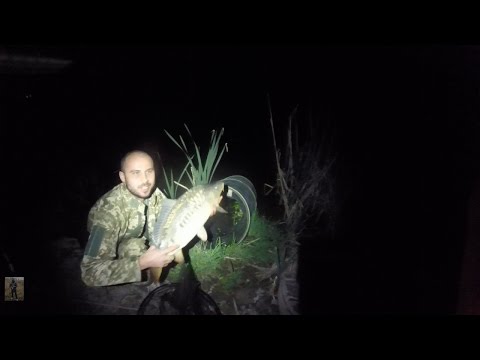 ловля карпа на горох весной ловля карпа на горох весной
