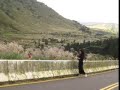 陽明山冷水坑