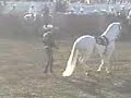 presentacion de caballo en el verde concordia sinaloa dia san juda tadeo 2008