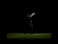 Tiger Woods Best Swing On The Planet? You Decide!
