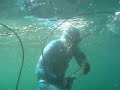 Spearfishing pargos out of Punta Mita. Selective spearfishing