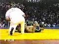 Freestyle amateur wrestling