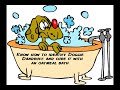Skin Care for Dogs Skin Care for Dogs