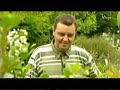 Kustplanten Peter De Coninck