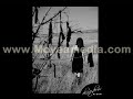 Amir hossein - Persian Song - On Kiye