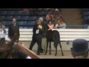 TWHBEA Weanling Colts 2008 Celebration