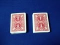Identical Twins - Card Trick Revealed