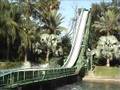 Busch Gardens Africa