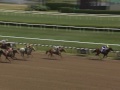 Trips & Traps - 8/11/11