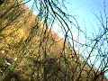 Chalford Walk Feb 2008 (Part 3)