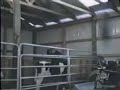 EXTREME ANIMAL SEX (SAPIK HAYVANLAR)