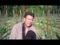 One Acre in Napa Valley - Episode #2, Bud Break & Rootstock One Acre in Napa Valley - Episode #2, Bud Break & Rootstock