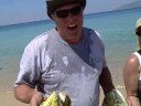 Another great dorado week with Tailhunter International Another great dorado week with Tailhunter International
