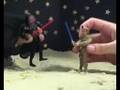 SEO Wars - Empire Googletron