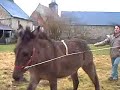 Un d�part vraiment rat�