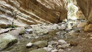 VIDEOS + 68 Avakas George Schlucht Zypern Akamas Kurzvideo 011