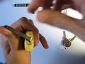 abrir candado arfe 30mm corto   picking arfe 30mm short lock