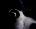 hektor-dj-sets-on-mumja-tirana-albania.html
