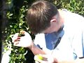 Robert Squirts A Lemon In His Eye