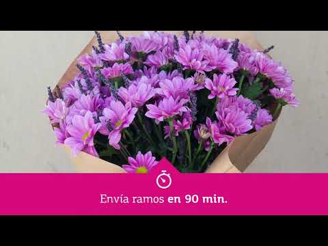 La app que revoluciona el mercado de flores a domicilio en Barcelona tiene m&aacute;s de 70 a&ntilde;os de historia