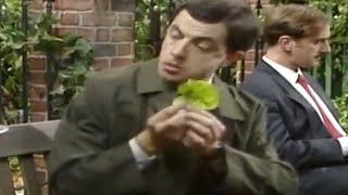 MrBean - Mr Bean - Washing salad the Bean way