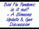 Simeons Update, Pandemic Bird Flu & Guns