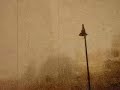 The Real Tuesday Weld: Black Birdies Come