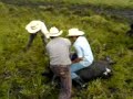 Primeras Montas Jaripeo Rodeo Pablo !!