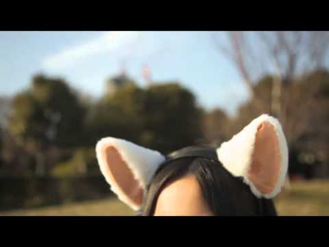 Nekomimi Neurowear