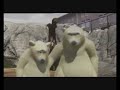 polar bears   frozen fist