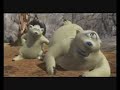 Polar Bears - Frozen Fist