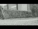 A slap-stick, silent film comedy about the idiots.Sorry about the video quality. I think it has something to do with the video effect I used. If anyone has any idea how to fix it, please let me know.