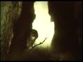 Ezhik ft. Rammstein