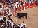 Fotos Tercer Encierro Azuqueca