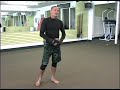 Mixed Martial Arts & Cage Fighting Basics : The Basics of Mixed Martial Arts & Cage Fighting