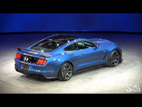 shelby