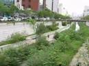 Cheonggyecheon