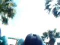 Busch Gardens Roller Coaster (Kumba) Cam