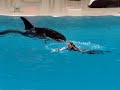 Pretty trainer girl ride a killer whale Neocia