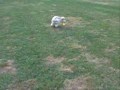 MABELLINE MOVIE.wmv