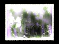 Antonello Matarazzo - Video Art: LA CAMERA CHIARA